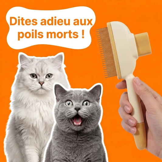 OFFERT - Brosse anti-poils morts